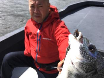 シーマジカル 釣果