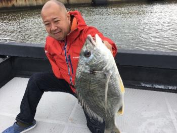 シーマジカル 釣果