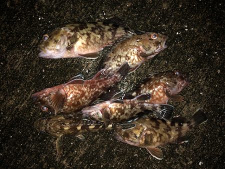 神戸ガシリング2