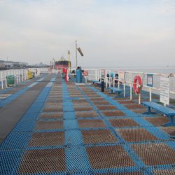 オリジナルメーカー海づり公園(市原市海づり施設) 釣果