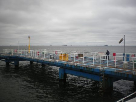 オリジナルメーカー海づり公園(市原市海づり施設) 釣果