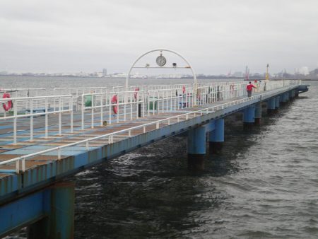 オリジナルメーカー海づり公園(市原市海づり施設) 釣果