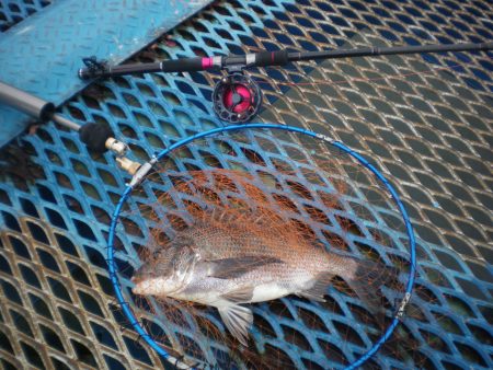 オリジナルメーカー海づり公園(市原市海づり…