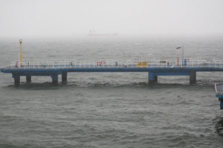 オリジナルメーカー海づり公園(市原市海づり施設) 釣果