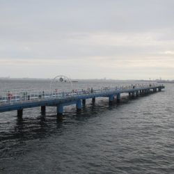 オリジナルメーカー海づり公園(市原市海づり施設) 釣果