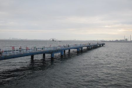 オリジナルメーカー海づり公園(市原市海づり施設) 釣果