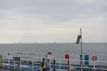 オリジナルメーカー海づり公園(市原市海づり施設) 釣果