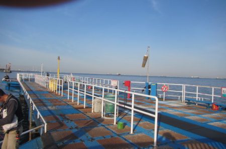 オリジナルメーカー海づり公園(市原市海づり施設) 釣果