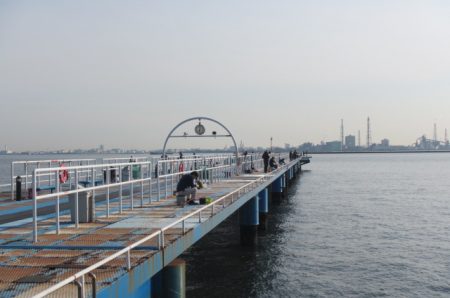 オリジナルメーカー海づり公園(市原市海づり施設) 釣果