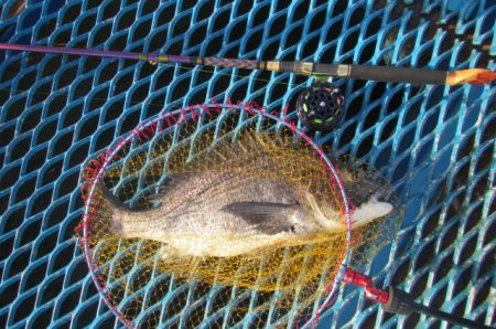 オリジナルメーカー海づり公園(市原市海づり…