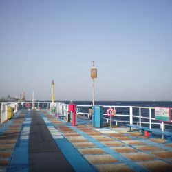オリジナルメーカー海づり公園(市原市海づり施設) 釣果