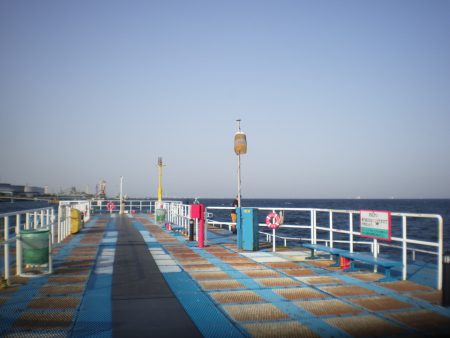 オリジナルメーカー海づり公園(市原市海づり施設) 釣果