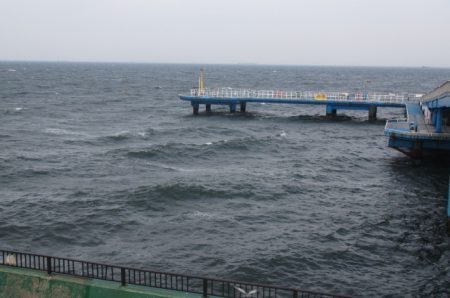 オリジナルメーカー海づり公園(市原市海づり施設) 釣果
