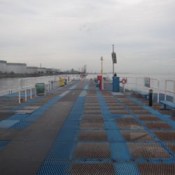 オリジナルメーカー海づり公園(市原市海づり施設) 釣果