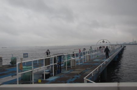 オリジナルメーカー海づり公園(市原市海づり施設) 釣果