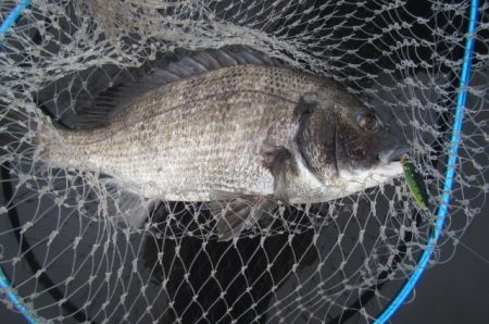 オリジナルメーカー海づり公園(市原市海づり…
