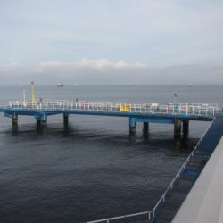 オリジナルメーカー海づり公園(市原市海づり施設) 釣果