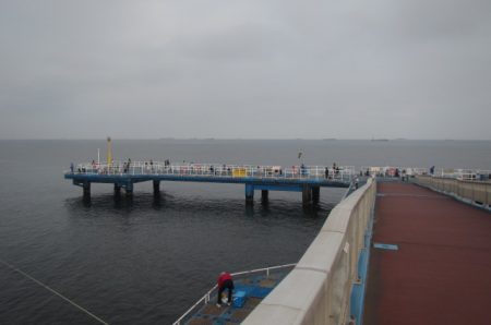 オリジナルメーカー海づり公園(市原市海づり施設) 釣果