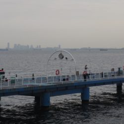 オリジナルメーカー海づり公園(市原市海づり施設) 釣果