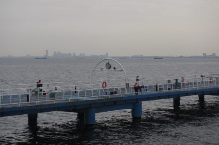 オリジナルメーカー海づり公園(市原市海づり施設) 釣果