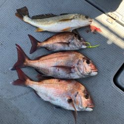 遊漁船高橋 釣果