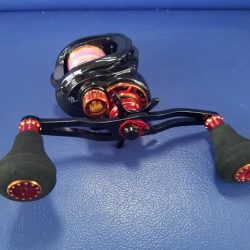 遊漁船 ニライカナイ 釣果