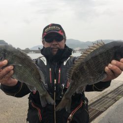 由良渡船 釣果