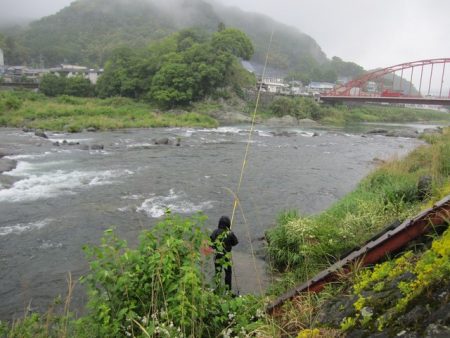 狩野川（狩野川漁業協同組合） 釣果