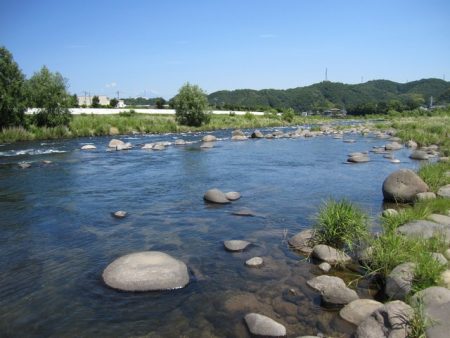 狩野川(狩野川漁業協同組合) 釣果