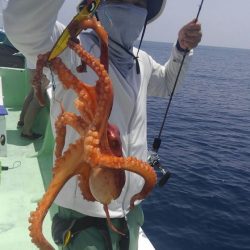 遊漁船 新鋭丸 釣果