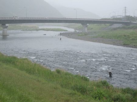 狩野川（狩野川漁業協同組合） 釣果
