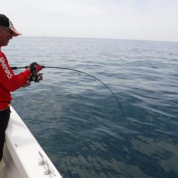 BlueNote Fishing Taxi 釣果