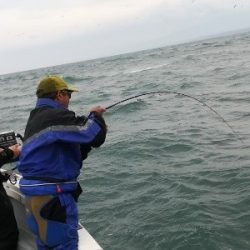 IDATEN（イダテン） 釣果