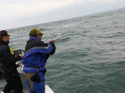 IDATEN（イダテン） 釣果