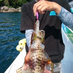 海晴丸 釣果