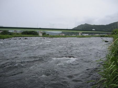 狩野川(狩野川漁業協同組合) 釣果