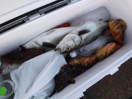 BlueNote Fishing Taxi 釣果