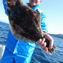 遊漁船ブルーウッズ 釣果