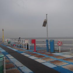 オリジナルメーカー海づり公園(市原市海づり施設) 釣果