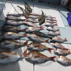 遊漁船 幸友丸 釣果