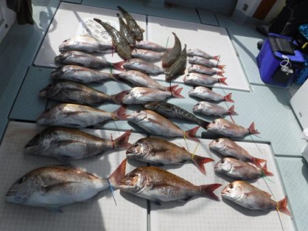 遊漁船 幸友丸 釣果