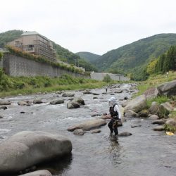狩野川(狩野川漁業協同組合) 釣果