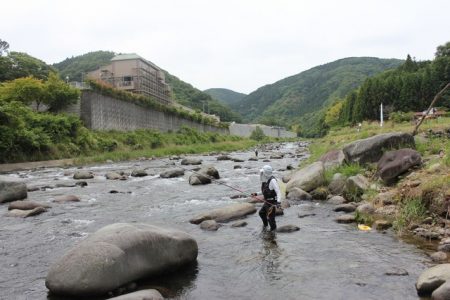 狩野川（狩野川漁業協同組合） 釣果