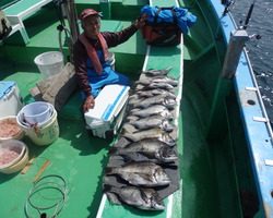 久里浜黒川本家 釣果