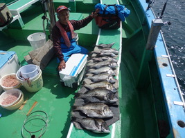 久里浜黒川本家 釣果