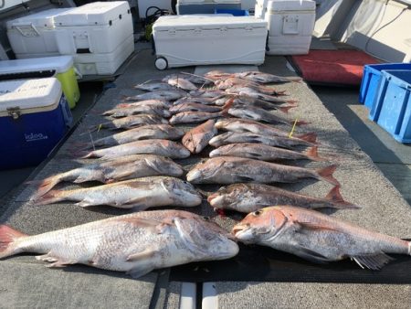 幸風（さちかぜ） 釣果