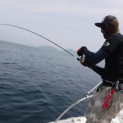 ＢｌｕｅＮｏｔｅ　Ｆｉｓｈｉｎｇ　Ｔａｘｉ 釣果