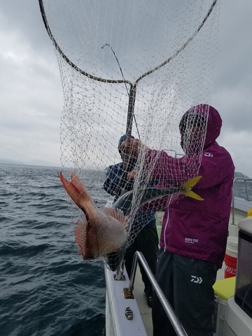 遊漁船　ニライカナイ 釣果