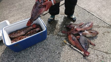 坂下丸 釣果