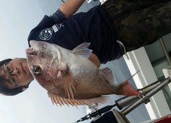 ディープ オーシャン 釣果